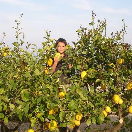 Vista Mare Spettacolare