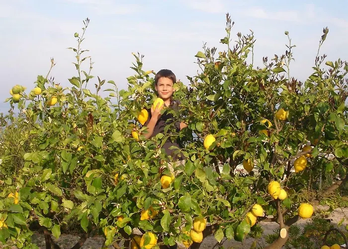 Vista Mare Spettacolare